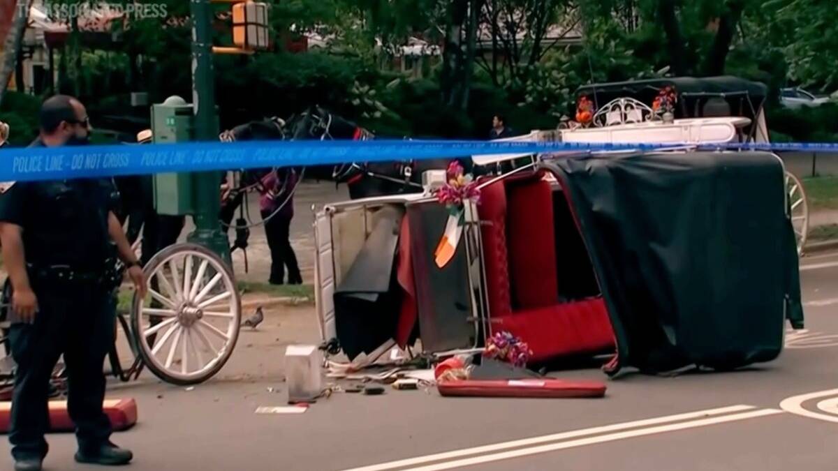 Tourist&rsquo;s death reignites calls to ban horse-drawn carriages in Central Park