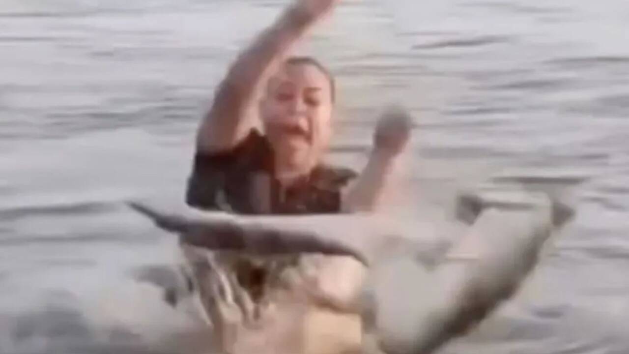 Horror moment swimmer picks up a &lsquo;floating log&rsquo; in water &ndash; before realising it&rsquo;s actually a razor-toothed ALLIGATOR