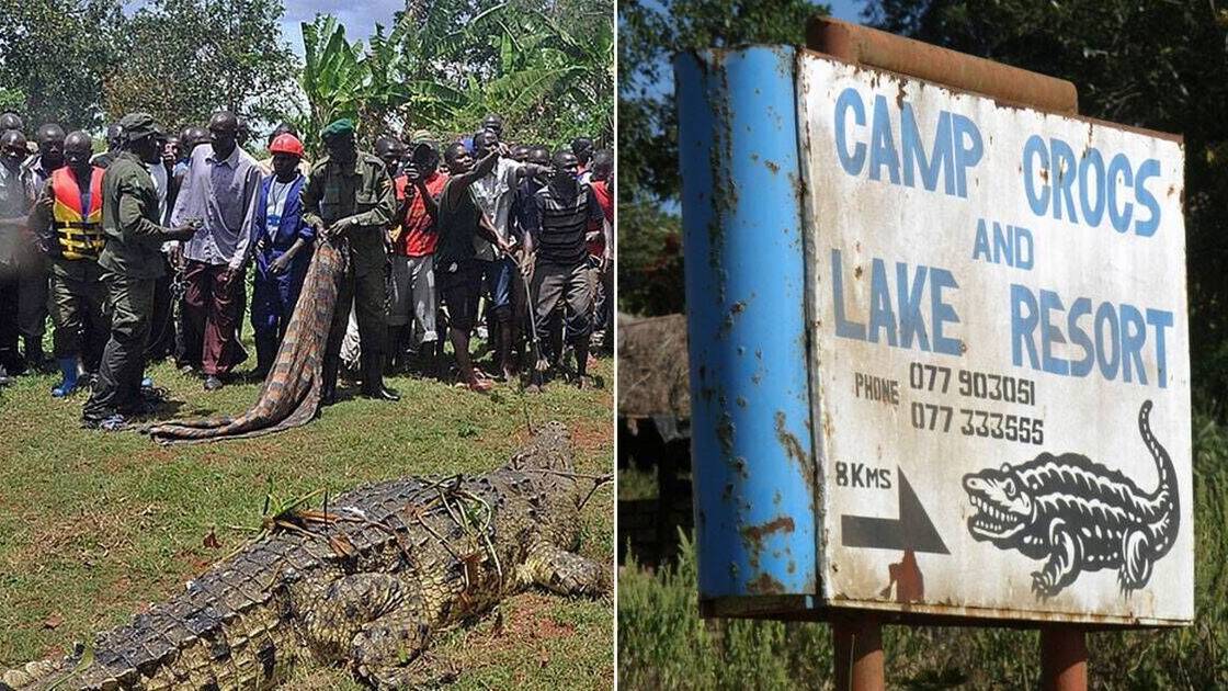 'Immortal' monster crocodile 'Osama' killed 80 before reign of terror stopped