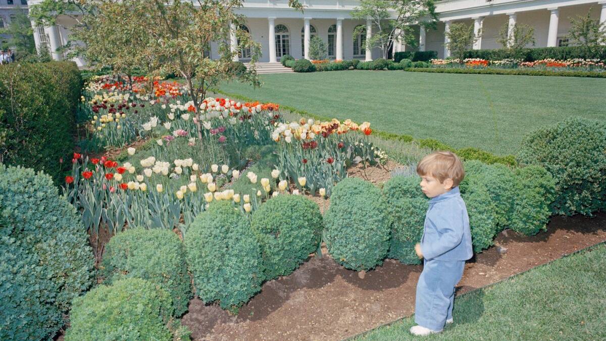 Jackie Kennedy’s grandson slams Trump for ‘pouring concrete’ all over former First Lady’s garden