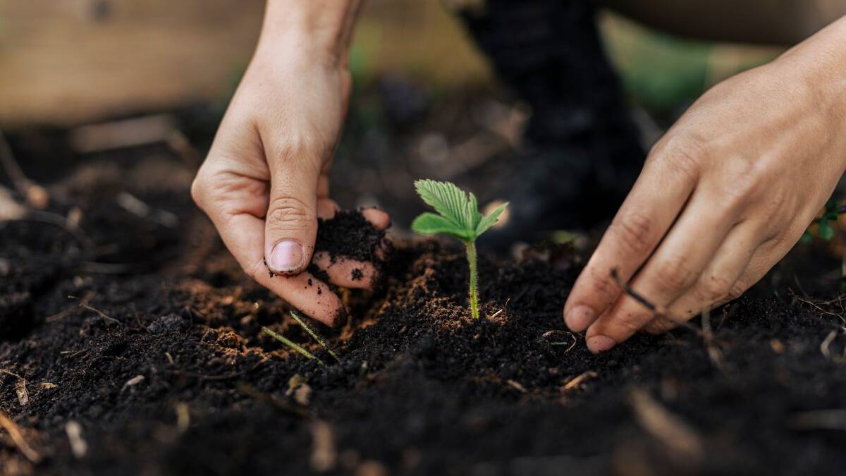 The World&rsquo;s New Agronomists are AI Agents