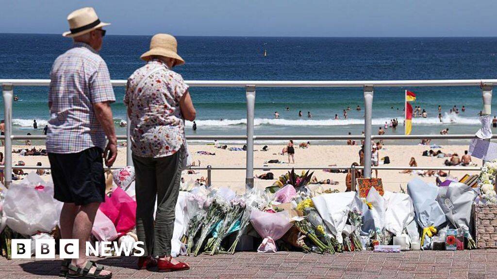 Royal commission into Bondi shooting says gun reform should be prioritised