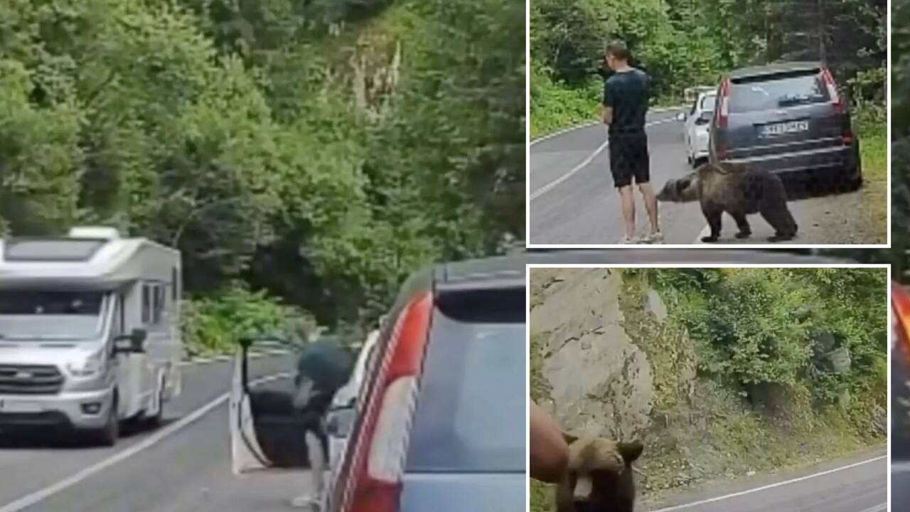 Heart-stopping moment tourist freezes as bear sinks teeth into his leg before fleeing in terror after the beast pounces