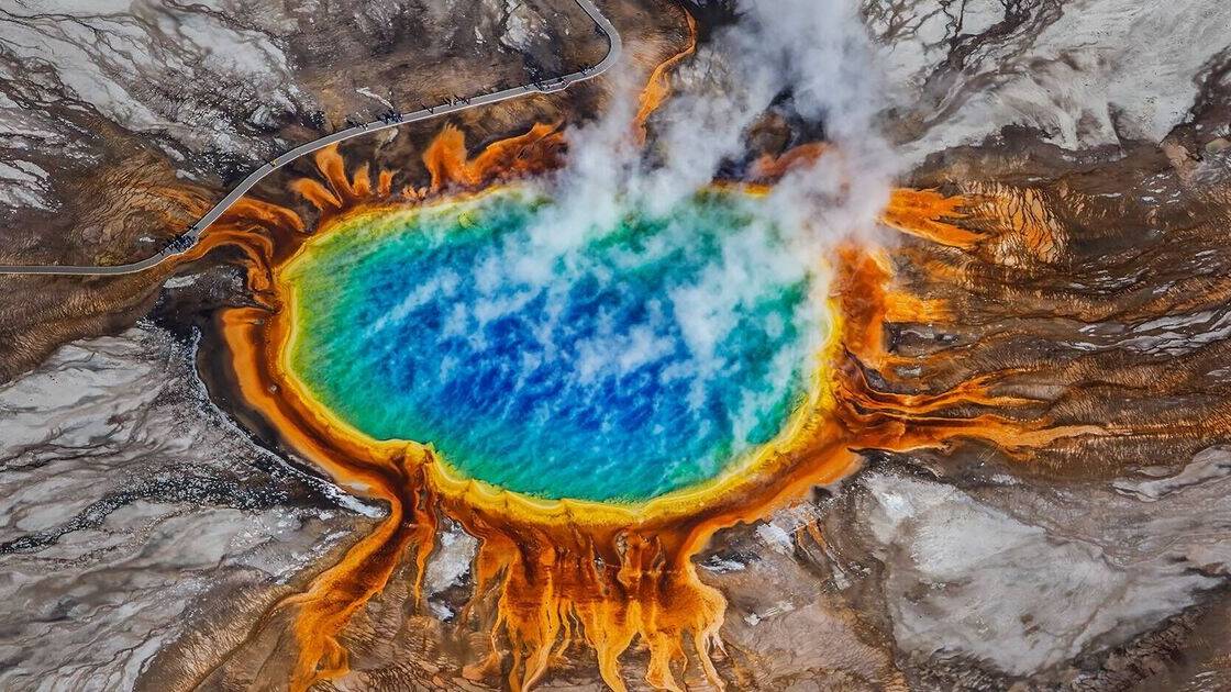 Man jumped into boiling water to save dog and suffered 'worst death imaginable'