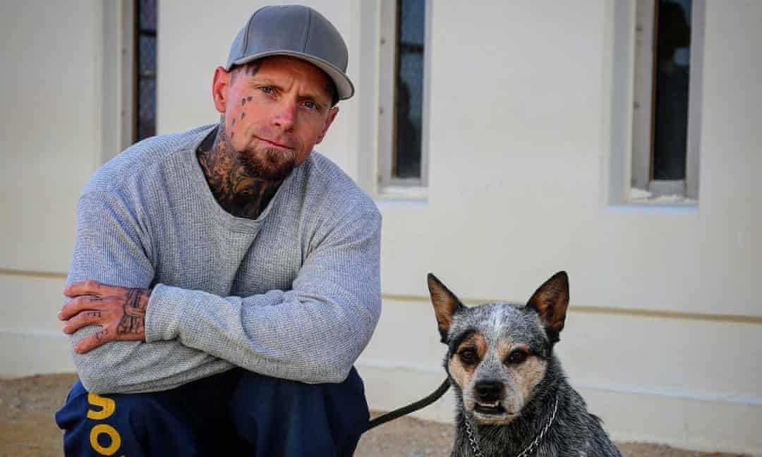Pets in prison the rescue dogs teaching Californian inmates trust and