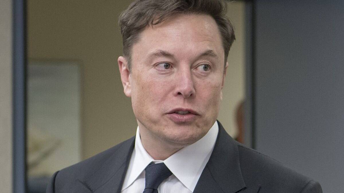 Federal Judge Tears Into Elon Musk After Defining His Accusation as 'State Sanctioned Intimidation'