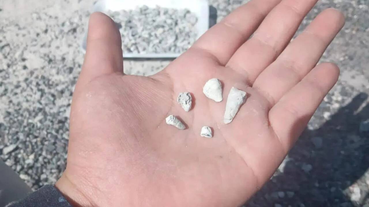 Horror as 1,600 baby teeth found in mass grave at ranch after &lsquo;smoke spotted from secret incinerator&rsquo;