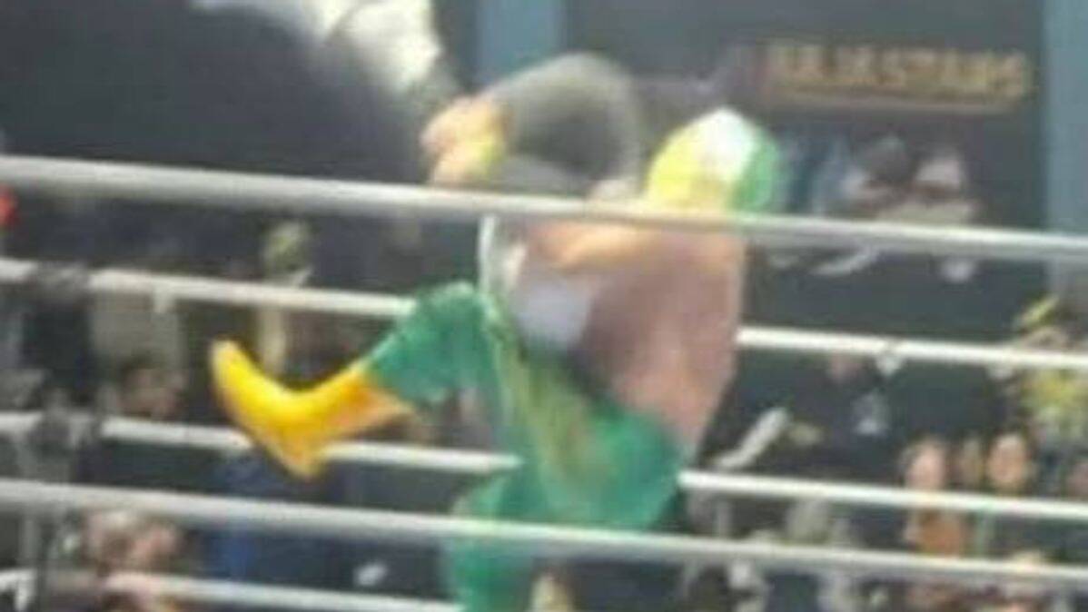 Wrestler arrested after referee dies in ring after being hit with 'banned' move