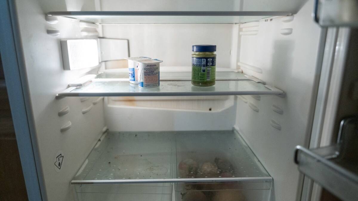 What Is an AI Worm? Expert Warns of Risks to Fridges, Water Systems