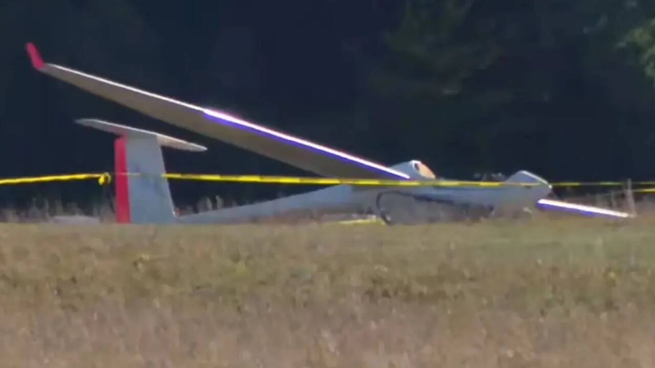 Pilot killed after two planes crash mid-air with one smashing into woodland as urgent probe launched