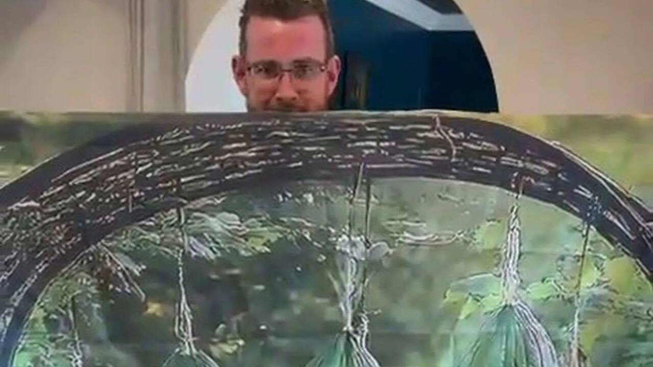 Couple left stunned after &lsquo;garden arch&rsquo; they bought from Temu turned out to be a picture of one on a sheet