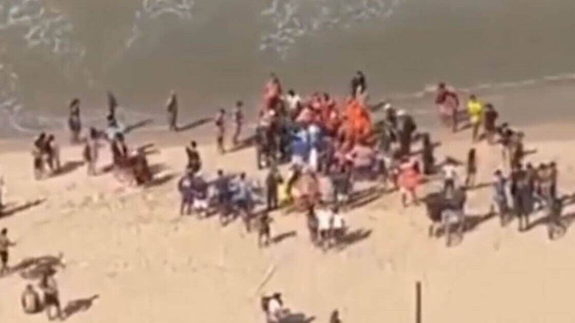 Horror as boy, 11, mauled by shark at crowded beach - 'all I could see was blood'