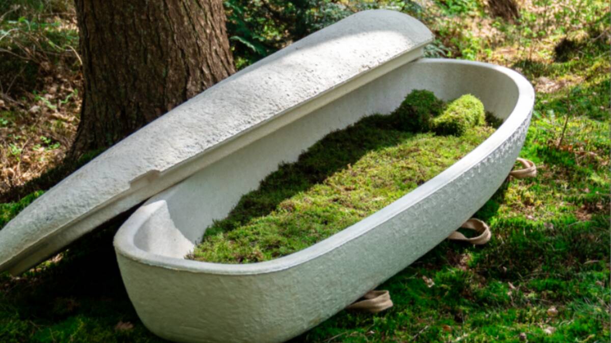 Sydney woman becomes first in Australia to be buried in mushroom coffin