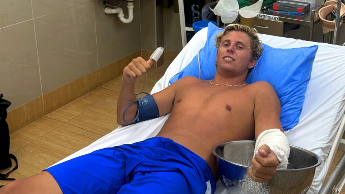 Tourist attacked by 'world's most venomous animal' that can kill in under five minutes